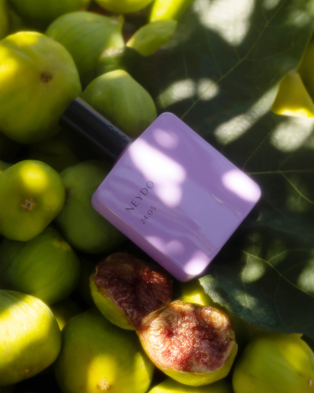 FIERY FIG 24.05